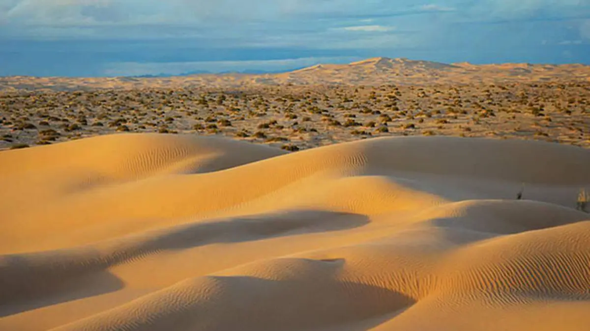 desierto Sonora